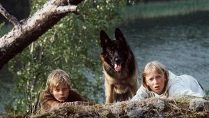 Susikoira Roi - seikkailu saaristossa