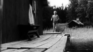 Kuin kala vedessä (7)