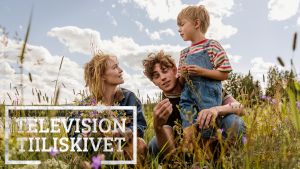 Television tiiliskivet