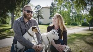 Yliopistollinen eläinsairaala