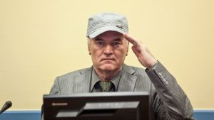 Dokumenttiprojekti: Ratko Mladicin tuomio (16)