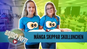 Att skippa skolmat och frukost och att skejta utan ben och blir Finland klimatneutralt till 2035