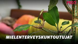 Mielenterveyskuntoutujien asumispalvelut ovat pahimmillaan säilytystä.