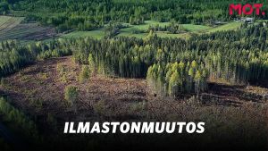 Metsähakkuita miljardilaskun uhalla