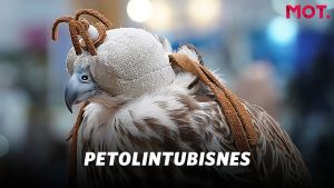 Pimeää kauppaa Suomen petolinnuilla