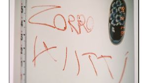 Zorro-murha