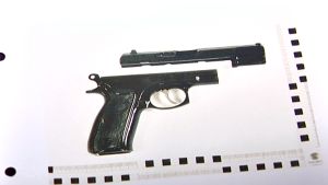 Taksimurha