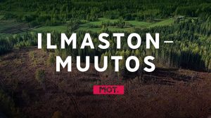 Metsähakkuita miljardilaskun uhalla
