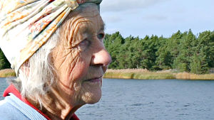 Dok: Ulkosaariston uskomaton Dora