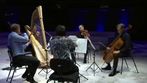 Kamarimusiikkia Musiikkitalosta