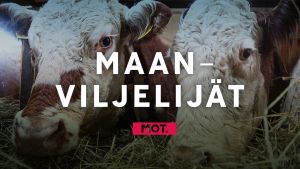 Mäntsälän isännän kapina