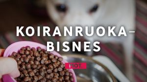Tätä koirasi oikeasti syö
