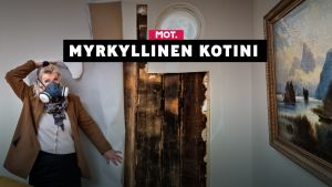 Kreosootti voi aiheuttaa terveysongelmia ja jopa purkutuomion talolle.