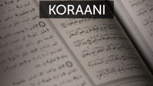 Koraani