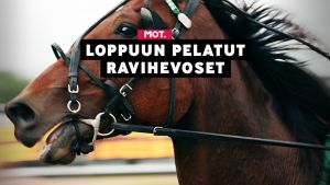 Ravihevosten terveysongelmien esiin nostaminen voi johtaa jopa tappouhkaukseen.