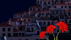 Madeira