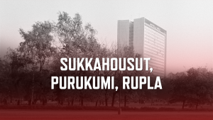 Sukkahousut, purukumi, rupla