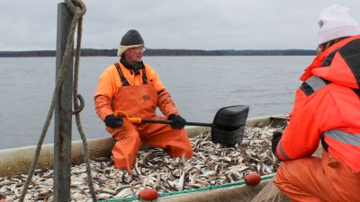 Homo mies sarja kuva porno