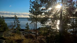 I Ingå vill man veta hur man tar skärgården i beaktande. Solen lyser genom en tall med blått vatten i bakgrunden och berg i förgrunden.