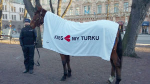 Kiss My Turku vid prisutdelningen på tisdag. Årets Åbobo 2017 är hästen Kiss My Turku.