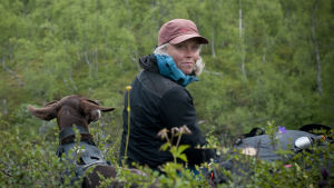 kika fogelberg tittar rakt i kameran och sitter bland skogsriset med hunden ditte bakom sig