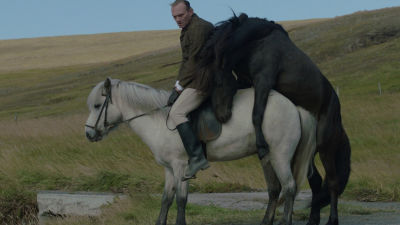 Bild från filmen Of Horses And Men.