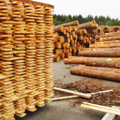 Sahat ovat perinteisesti hyviä suhdanteiden mittareita: kun suhdanteet ovat hyvät myös sahateollisuudessa menee hyvin.