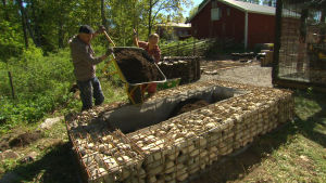 Työ Strömsön puutarhassa