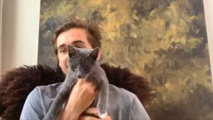Robin Stethem visar upp sin katt Max under videosamtalet. De sitter i Vancouver och är trötta efter att ha agerat värdar för en VR-festival i museet veckoslutet innan. Robin Stethem syns på en skärmdump från ett videosamtal. Han håller upp sin gråa katt Max framför kameran. I bakgrunden syns en gulgrön abstrakt målning. Bildern är lite suddig.