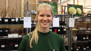 Roosa Juup var förvånad över Katainens besked. Roosa Juup säljer pioner på vårmässan 2014