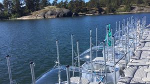 Säckarna finns på en flotte utanför Tvärminne zoologiska station i Hangö. Experiment i Tvärminne