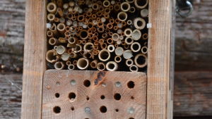 Pönttömallinen hyönteishotelli, jossa materiaaleina lehtipuu ja luonnonkorret. Savitulpat ovat merkkinä pölyttäjien hyväksynnästä. Hyönteishotelli