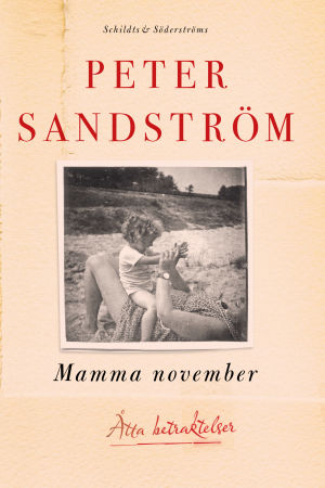 Peter Sandströms Mamma november Pärmen till Peter Sandströms Mamma november.