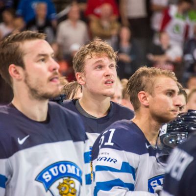 Leijonat.