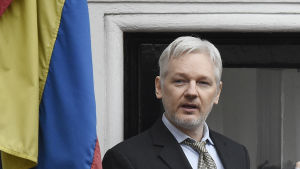 Wikileaks grundare Julian Assange lämnar fortfarande inte Equadors ambassad där han har sökt asyl. Julian Assange talar till journalister från ambassadbalkongen i London i februari 2016
