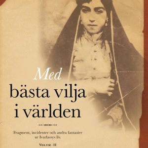 Andra delen av Thomas Wulffs romantrilogi, Med bästa vilja i världen Thomas Wulff
