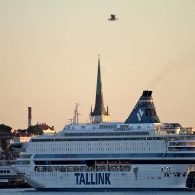 Matkustajalautta saapuu Tallinnan satamaan.