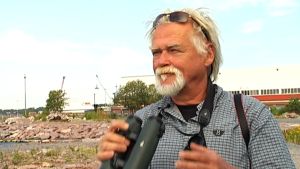 Mikael Kilpi satt med som sakkunnig utan rösträtt i skarvarbetsgruppen. Maikel Kilpi är forskningsledare på Aronia.