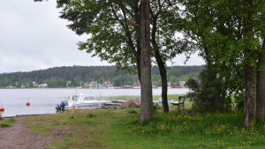 Invid den här udden kan det byggas flytande bostäder. Från bostadsområdet har man utsikt in mot staden. En liten träddunge på en udde invid Lovisavikens östra strand. Utsikt mot Lovisa gamla stad och segelbåtar.