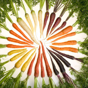 ARSin tutkijat ovat tarkoituksella jalostaneet porkkanoita joiden pigmentointi vastaa lähes kaikkia sateenkaaren värejä. Mikä tärkeämpää, niin ne ovat vieläpä hyvin terveellisiä