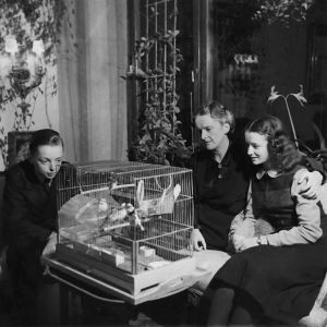 Katarina Ilves sekä lapset Jan ja Merike 1940-luvulla. Katarina Ilves sekä lapset Jan ja Merike 1940-luvulla.