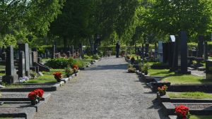 Vasa begravningsplats. Blommor är utradade på gravarna på Vasa gravgård. Till näst ska de planteras.