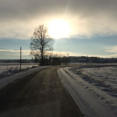 Kuvassa aurinkoinen maisema Konnunsuolta. Keskellä puu, jonka lisäksi tieltä näkyvät Konnunsuon rakennukset.