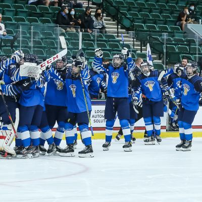 Pikkuleijonat