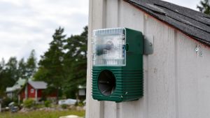Den lilla, gröna, apparaten skrämmer bort fåglar med hjälp av fågelskrik. fågelskrämma