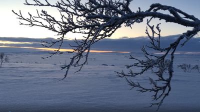 Morgonkollen: I dag avslöjas vem som vinner årets ...