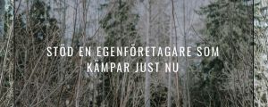 "Det är inte lätt att få inkomster med en miljöblogg. Jag tvingas tacka nej till många företag som föreslår samarbete, till exempel största delen av kläd- och kosmetikjättarna. Jag är ju emot onödig konsumtion och oetisk produktion". Screenshot från Julia Degerths blogg. Från Julia Degerths Instakonto