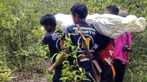 Thailändska räddningsarbetare bär på en kropp som tros tillhöra en rohingya muslim. Kroppen hittades vid ett övergivet läger där man tror att människosmugglarna hållit flyktingarna fångna. Thailändska räddningsarbetare bär på en död kropp inlindad i vitt plast.