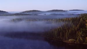 Puumala kallar sig för Saimens vackraste kommun och har 2 300 invånare. Ett åslandskap i Puumala med skog, sjö och dimma som hänger över trädtopparna.