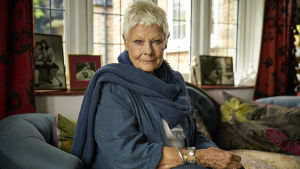 Nästan som på The Best Marigold Hotel. Och definitivt The Best Of med Judi Dench. Judi Dench poserar i en soffa.